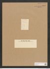 Diatomeae indet. Zeichnungen Sammlung Grunow Nr. 2813 (NHMW-BOT-W0370114)